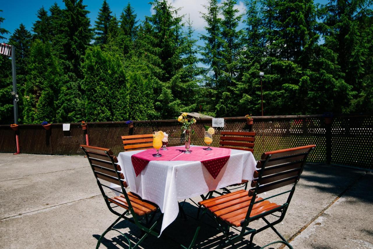Hotel Casute Valea Zanelor Covasna Exterior foto